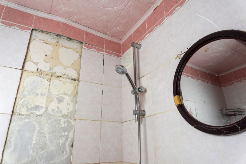 Shower Renovation Projects